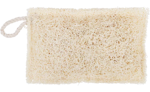 Luffa Spülschwamm n