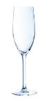 Cabernet champagne glass 16cl